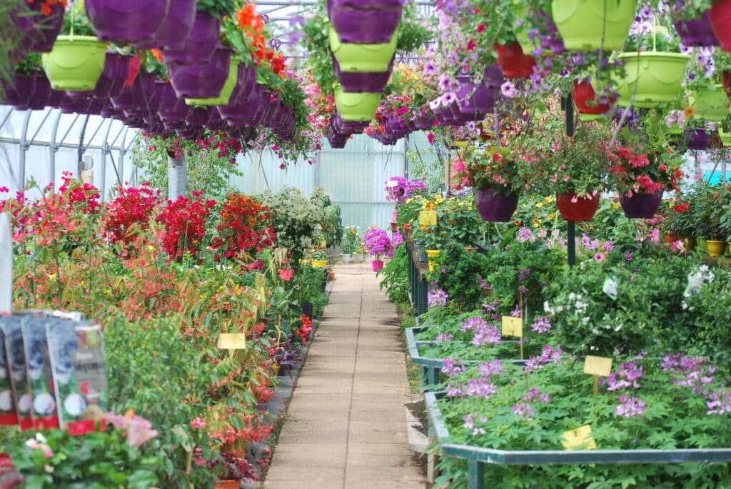Atelier jardinerie Adapei de la Gironde rempli de fleurs et de plantes colorées